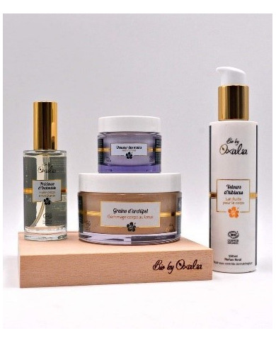 Gommage Grains d'Archipel bio OAXALIA