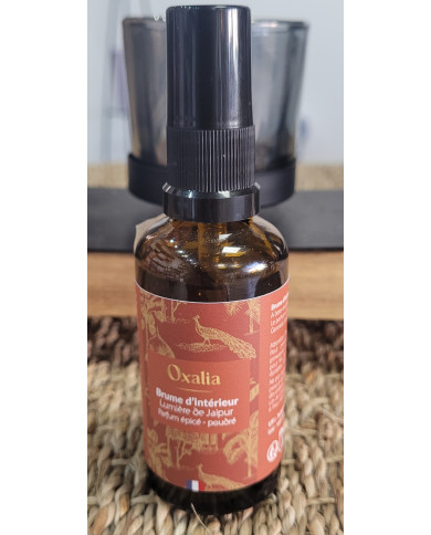 brume parfum d'intérieur Inde Jaipur